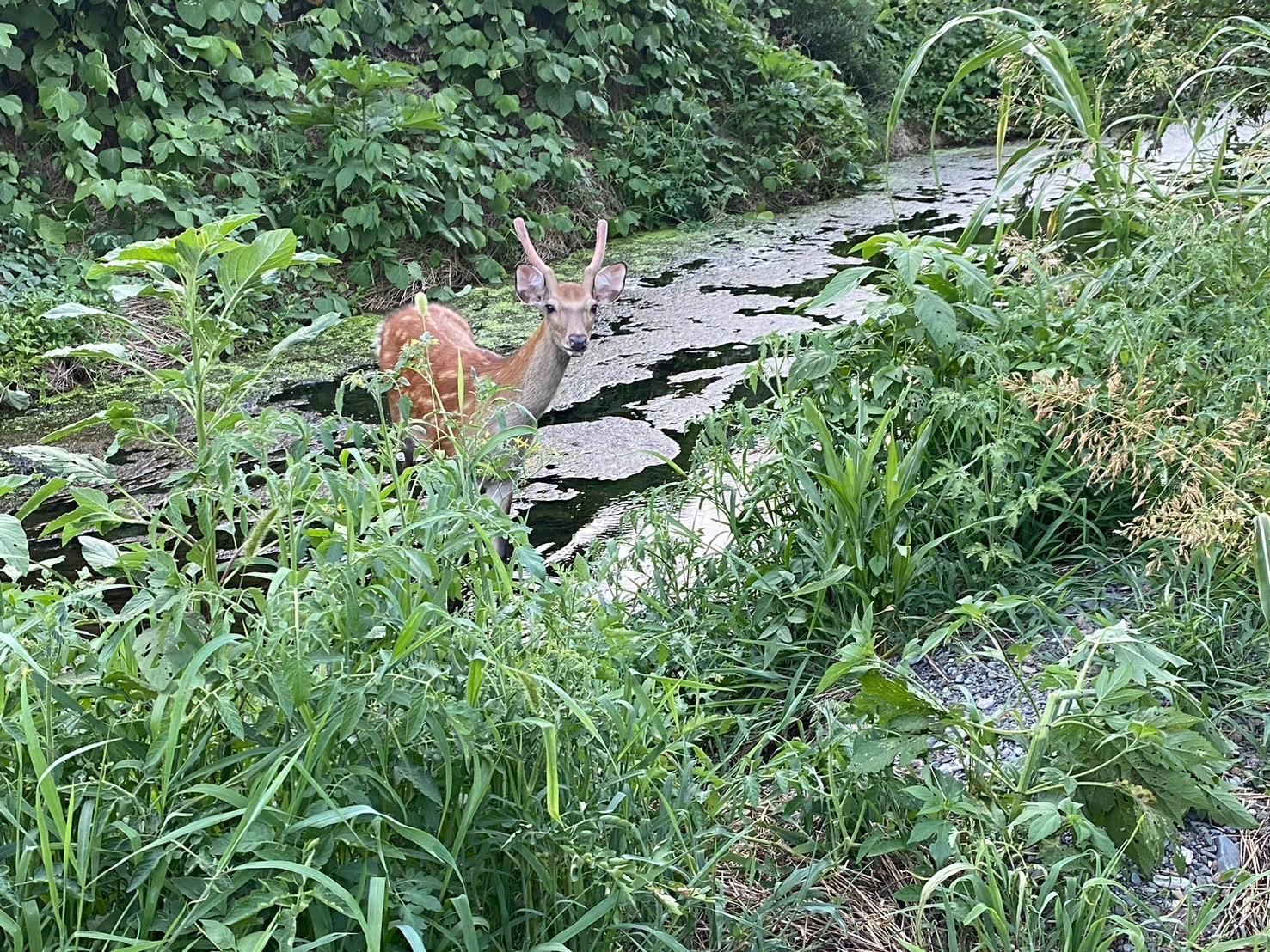 Photo: Suminobu Sakai